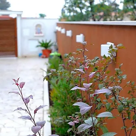 Sun House 3*